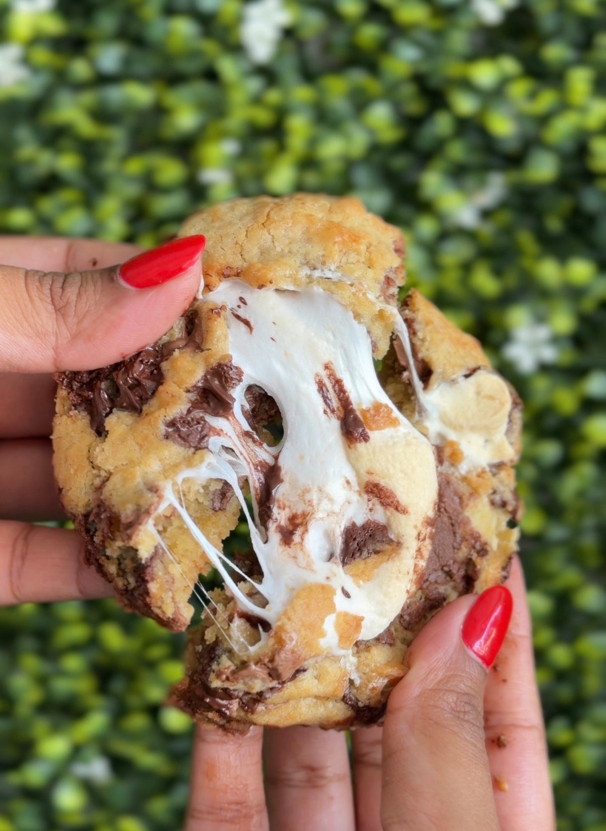 Nutella s’more cookie